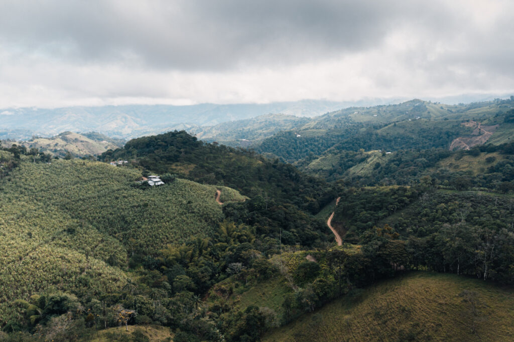 DJI_0358